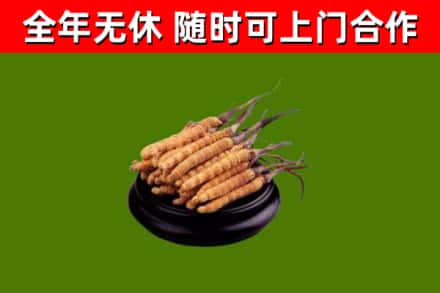 抚远烟酒回收冬虫夏草.jpg